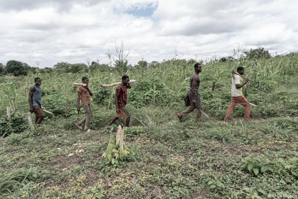 AFOS in Nigeria: Story of Change