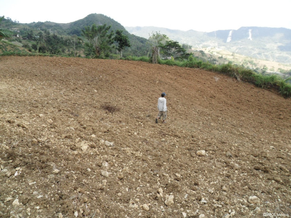 Vision und Werte der AFOS-Stiftung:  Wirtschaftlich effizient, sozial gerecht und ökologisch tragfähig