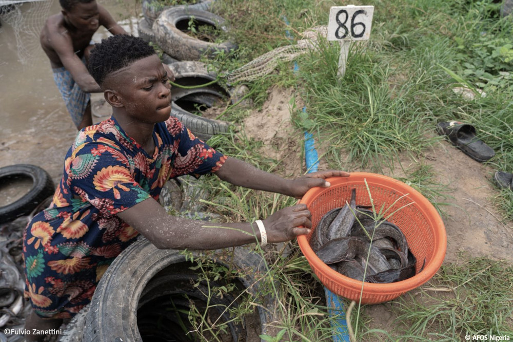 Vision und Werte der AFOS-Stiftung: Für ein unabhängiges und verantwortliches Unternehmertum